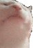 Emote #216931
