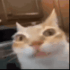 Emote #216986