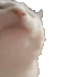 Emote #217001