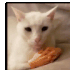 Emote #217090