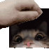 Emote #217099