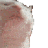 Emote #217100