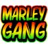 Emote #217104