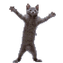 Emote #217192