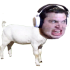 Emote #217345