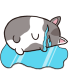 Emote #217386