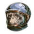 Emote #217481
