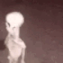 Emote #217589