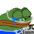 Emote #217593
