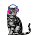 Emote #217886