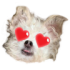 Emote #217924