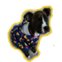 Emote #217962