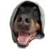 Emote #217967