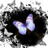 Emote #218057