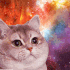 Emote #218123