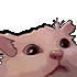 Emote #218375