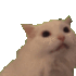 Emote #218386