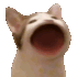 Emote #218390