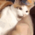 Emote #218417