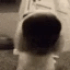 Emote #218526