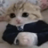 Emote #218535