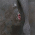 Emote #218552
