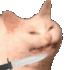 Emote #218813