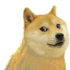 Emote #218954