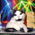 Emote #218991