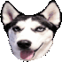 Emote #219017