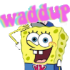 Emote #219173