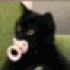 Emote #219202