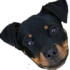 Emote #219315