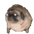 Emote #219551