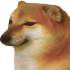Emote #219697