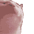 Emote #219701