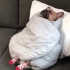 Emote #219818