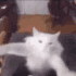Emote #219917
